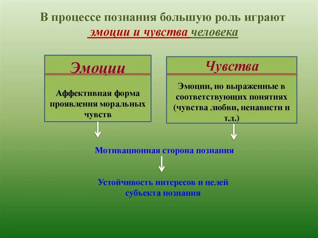 ) В процессе познания большую роль играют эмоции и чувства человека. Роль эмоций в жизни. Эмоции и процессы познания. Процесс познания.