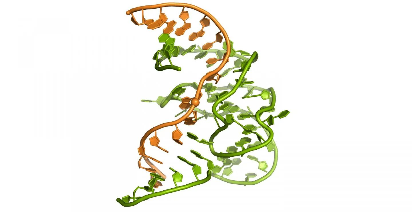 Adn 622