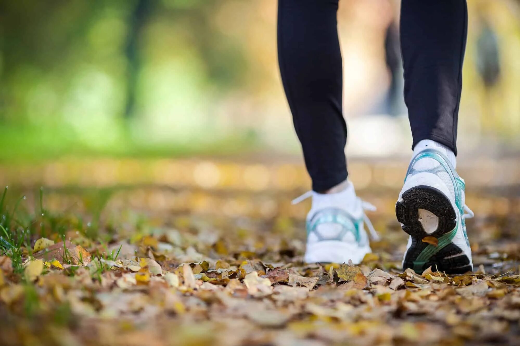 Do you want to walk. Пешие прогулки. Прогулка. Ходьба пешком. Ходьба прогулка.