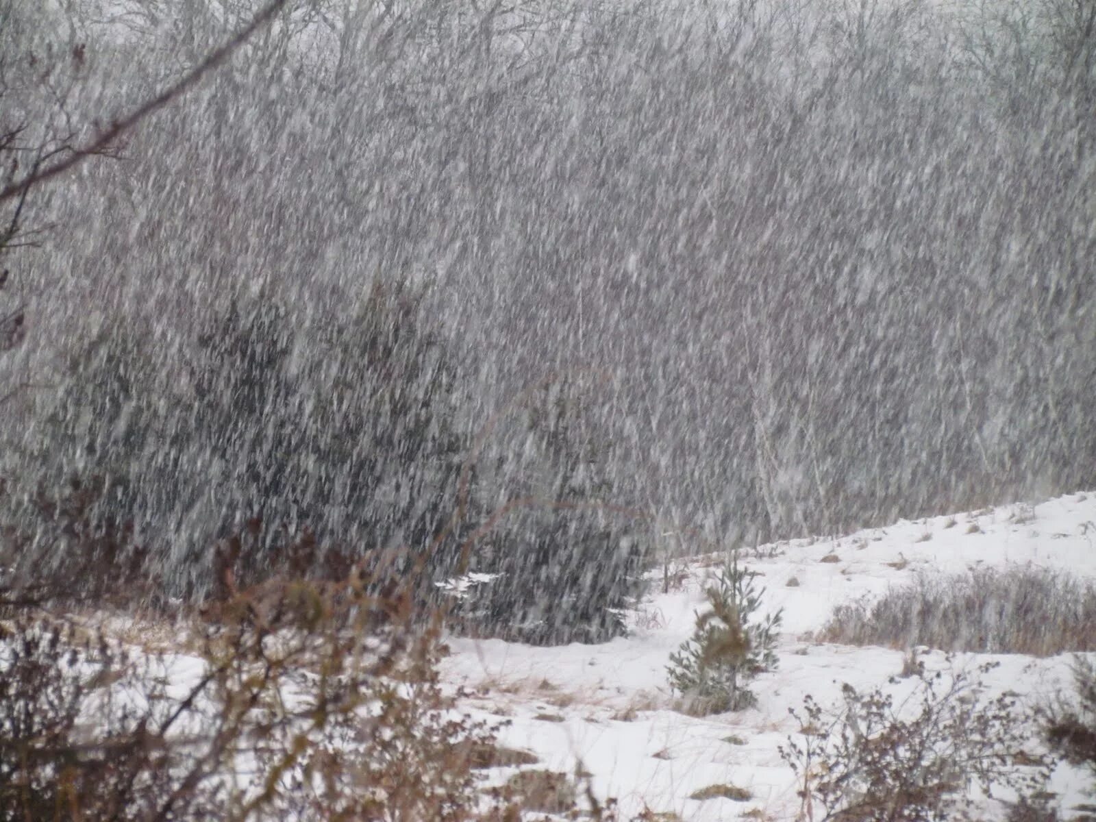 Обильные осадки снега. Снег с дождем. Зимние осадки. Осадки в виде снега. Ливневый дождь со снегом.