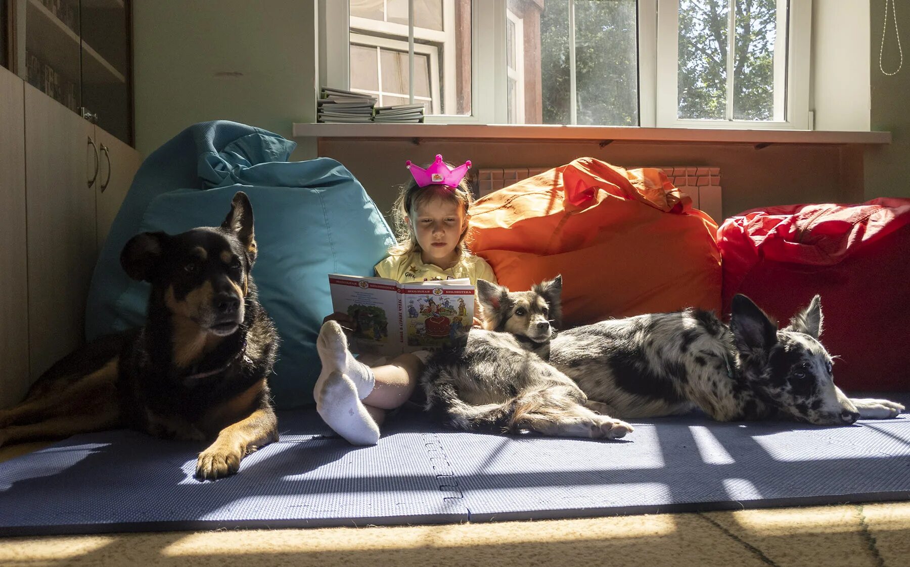 Дети чтение собаки. Читальные собаки в Финляндии. Ребенок читает собаке. Собаки помощники. Дети читают собаке