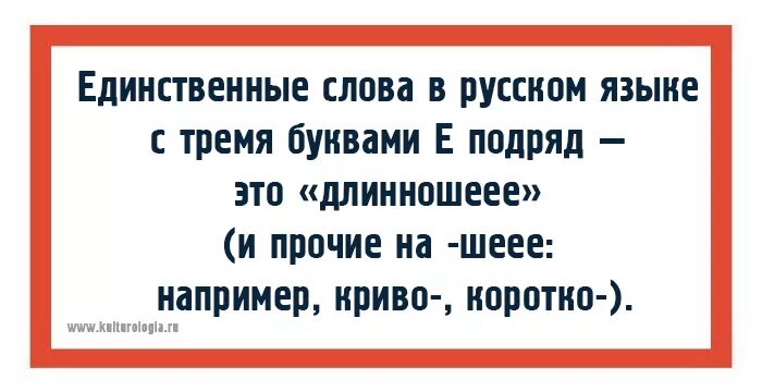 Интересные факты о русском языке. Самые интересные факты о русском языке. Необычные факты о русском языке. Забавные факты о русском языке. Муж на три буквы