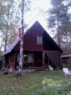 Снт культура