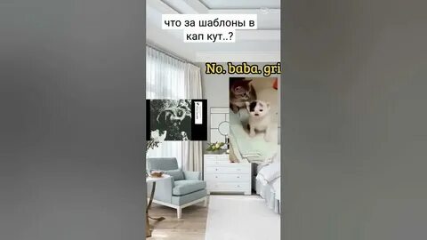 Шаблоны кап кут 2024 замедление