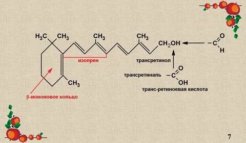 Каротины провитамины витамина