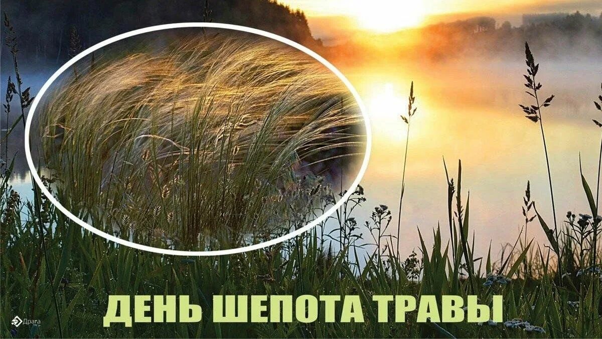 День шепота. День шепота травы 31 августа. Шепот травы. Праздник на траве. Шепот травы.