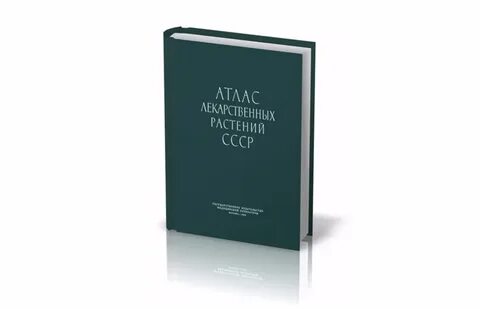 Книга состоит из двух