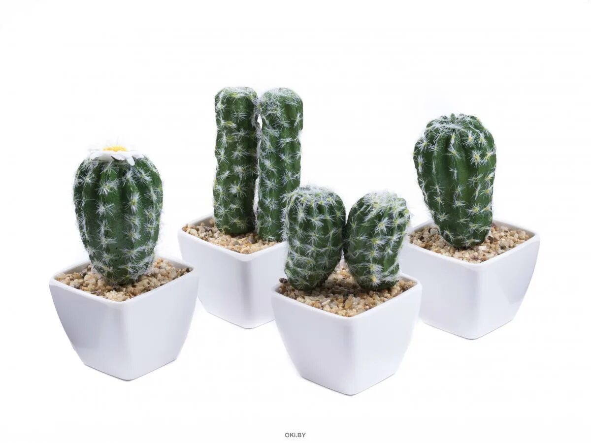 Cactus 10. Искусственные кактусы в горшке. Кашпо Кактус. Искусственный Кактус, 10см. Кактус в напольном кашпо.