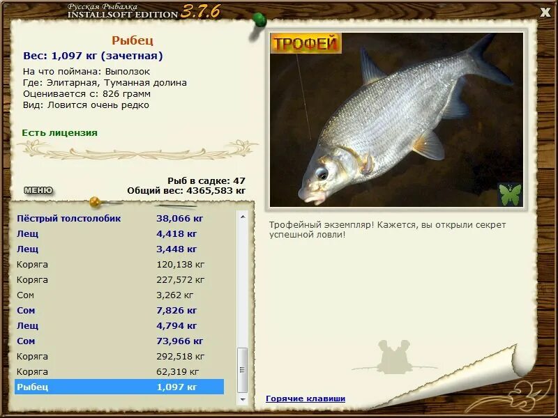 магазин рыбец 64 саратов. рыбец 64 магазин. на что клюет рыбец. рыбец подуст различия. рыбец.