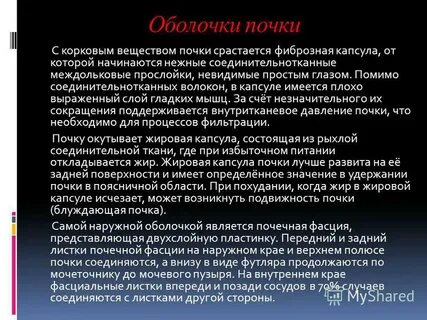 Почечные оболочки