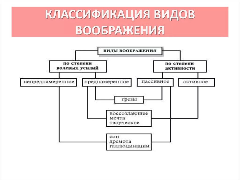 Процессы воображения в психологии таблица. Классификация видов воображения по степени активности. Основные виды воображения. Структура воображения. Норма воображения