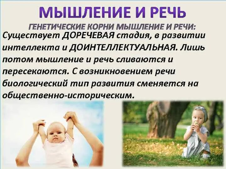 Мысленный корень