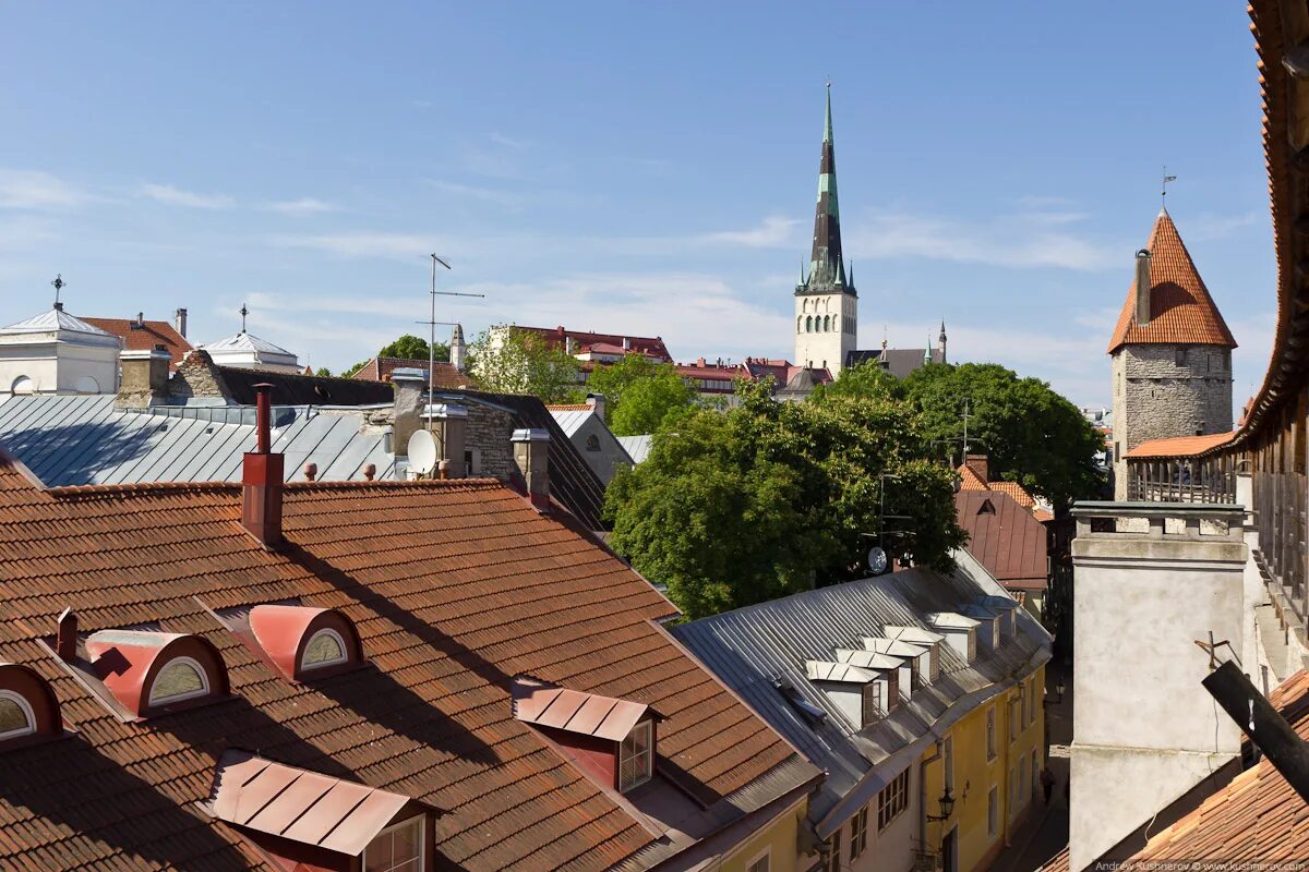 Купить старый таллин. Таллин старый город. Таллин старый Таллин. Старый Таллин фиолет. Улицы старого Таллина.