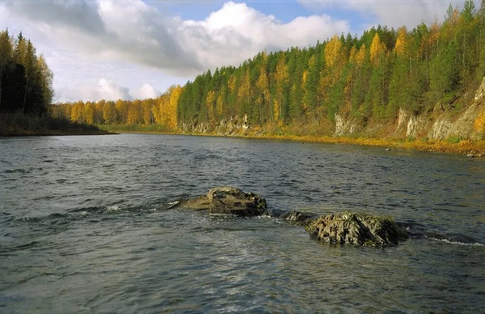 Река северная сосьва. Река Сосьва ХМАО. Река Сосьва Ханты-Мансийский округ. Река – Северная Сосьва Березовск.