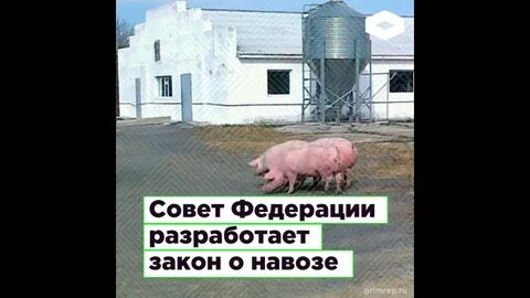 Закон о навозе