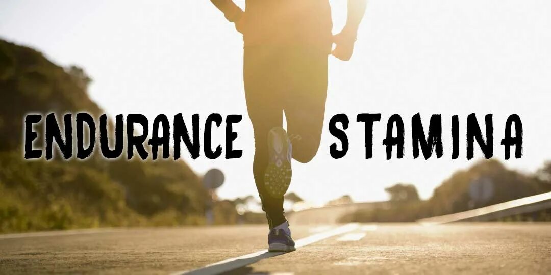Better stamina. Stamina логотип. Stamina Endurance разница. Endurance фирма. Endurance meaning.