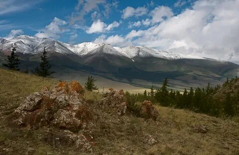 Тайны алтая
