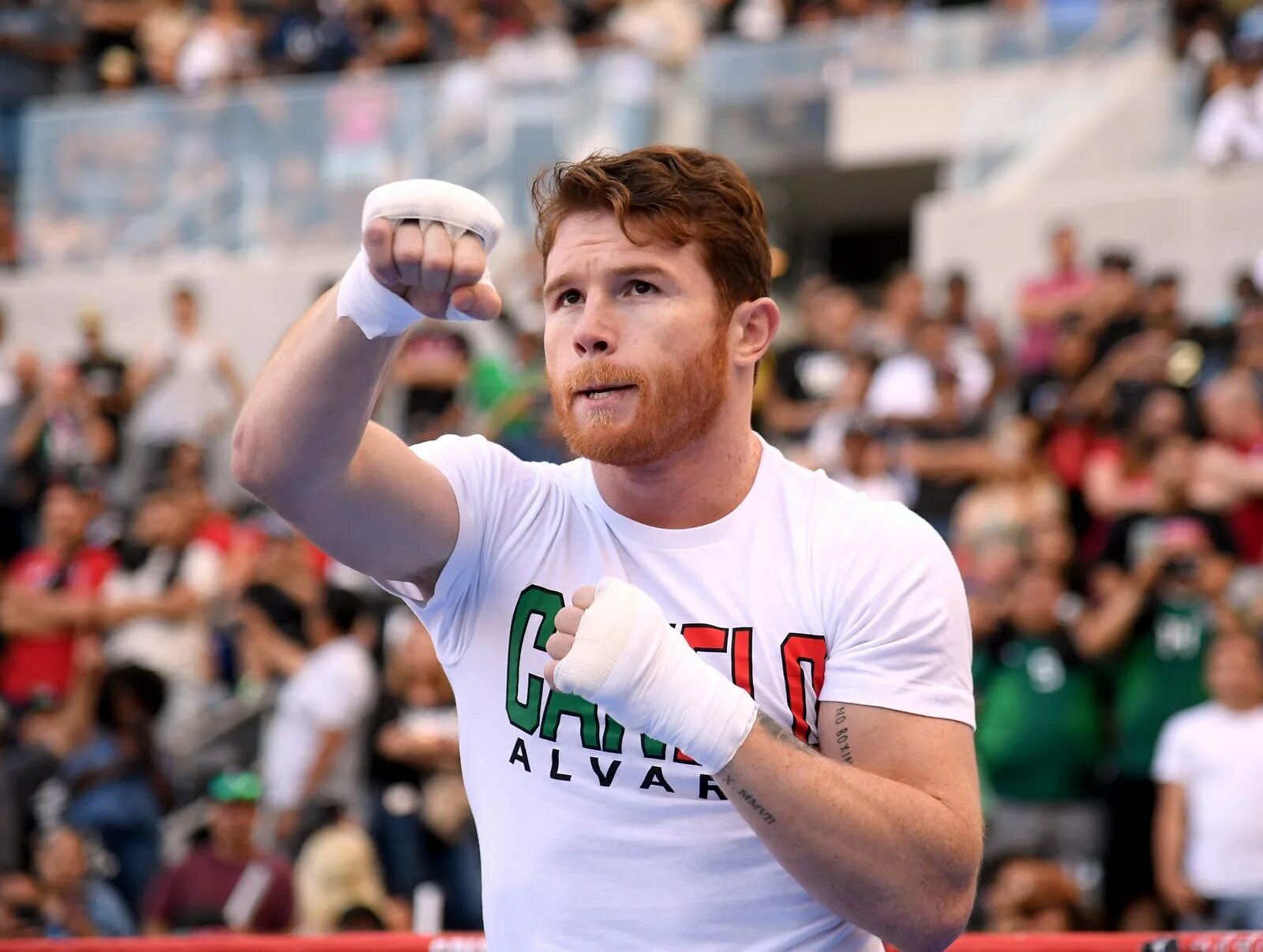 Canelo. Канело фото. Сауль альварес в костюме. Канелло. Канело фото.