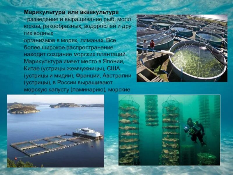 Является единственным в мире