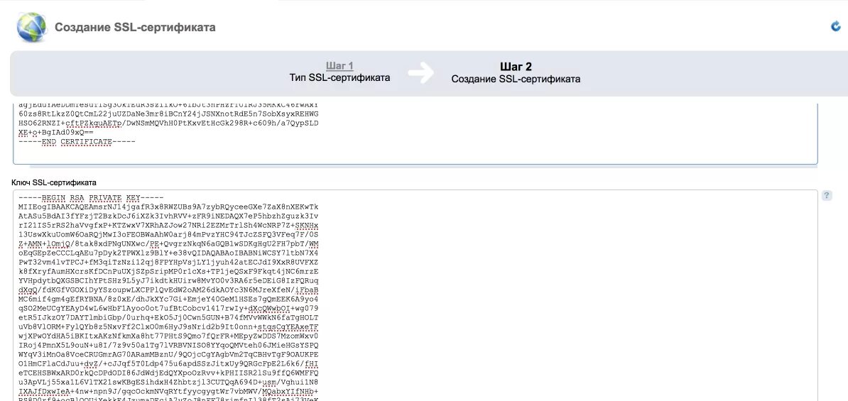 Приватный ключ SSL что это. Private Key для SSL. Пример приватного SSL ключа. Как выглядит ключ для SSL сертификата. Private ssl