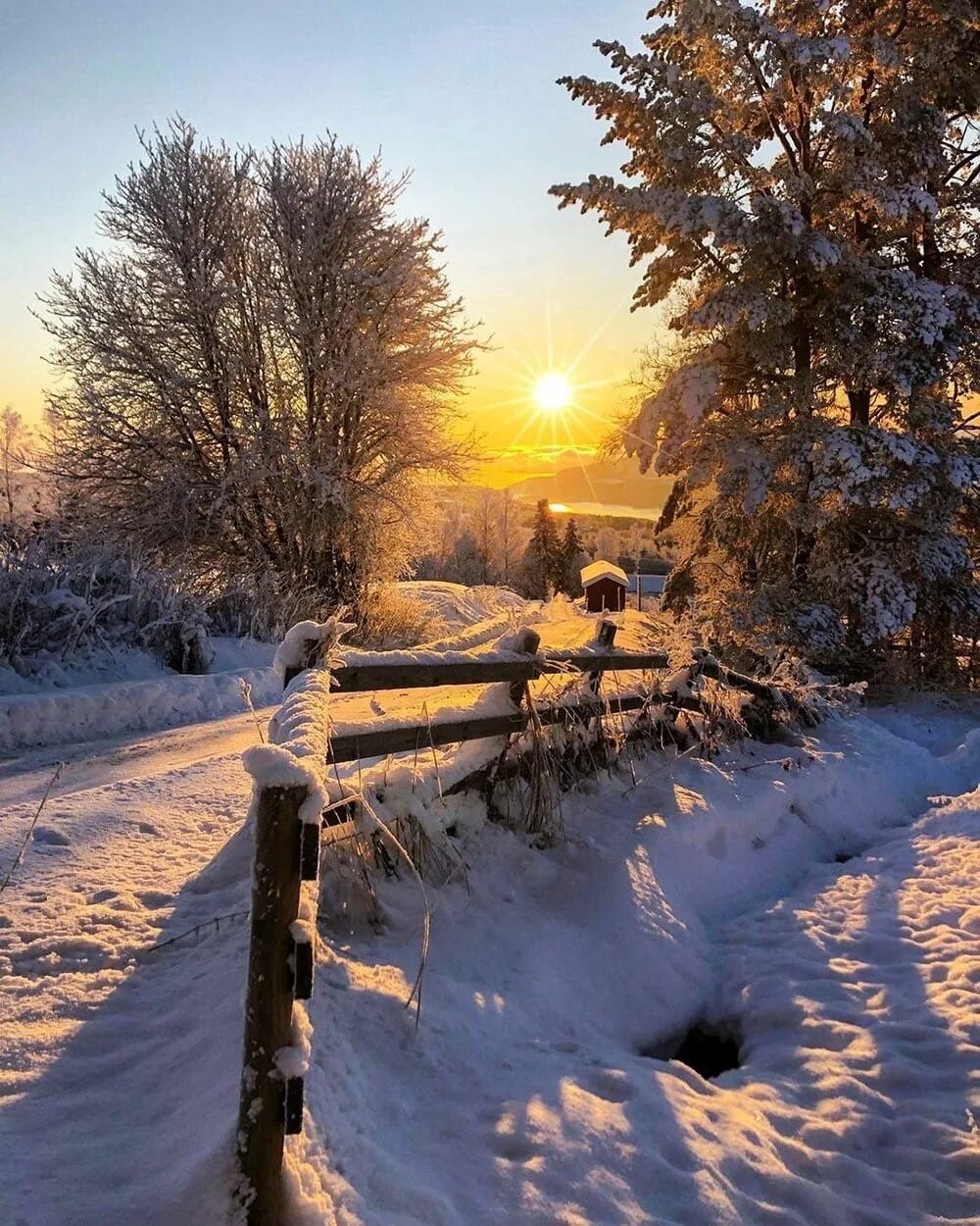 Солнечный день январь. Зимнее утро. Солнечный зимний день. Зима солнце. Морозное утро.