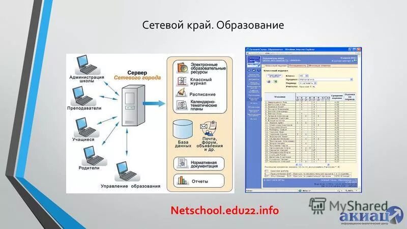 Нетскул алтайский край сетевой