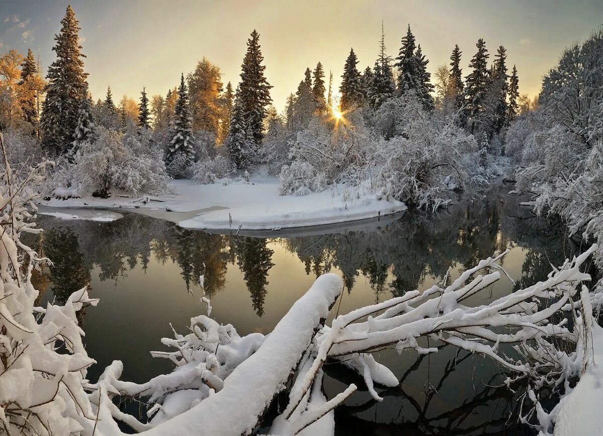 Зимняя природа. Красота зимы. Декабрь природа. Декабрьский пейзаж. Is winter beautiful