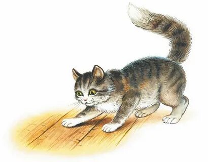 Рисунок толстого котенок