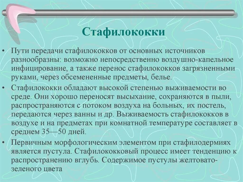 Стафилококк эффективное лечение. Стафилококковая инфекция пути передачи. Стафилококк способы передачи. Золотистый стафилококк пути передачи. Пути заражения стафилококком.