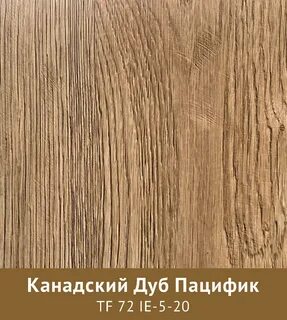 Ель карпатская