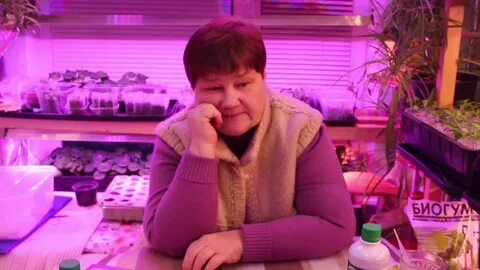 Миняевы за кадром видео