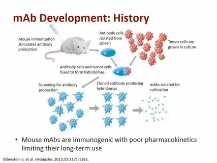 Monoclonal antibodies