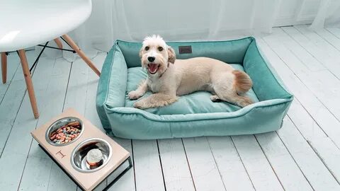 Pet bed