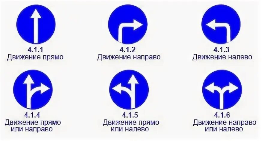 6 движений