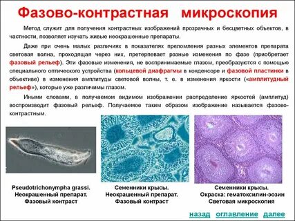 Микроскопический метод недостатки