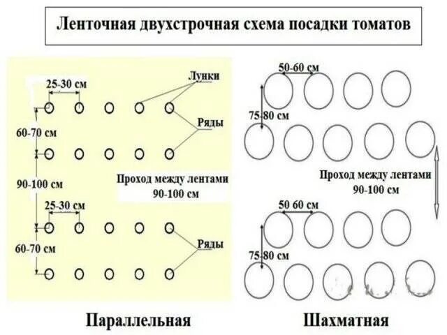 На каком расстоянии сажать семена огурцов. Высадка рассады помидор в теплице схема. Схема высадки помидор в теплице. Схема посева перца в теплице. Схема посадки томатов в открытый грунт в один ряд.