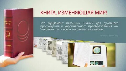 Они не изменять книга