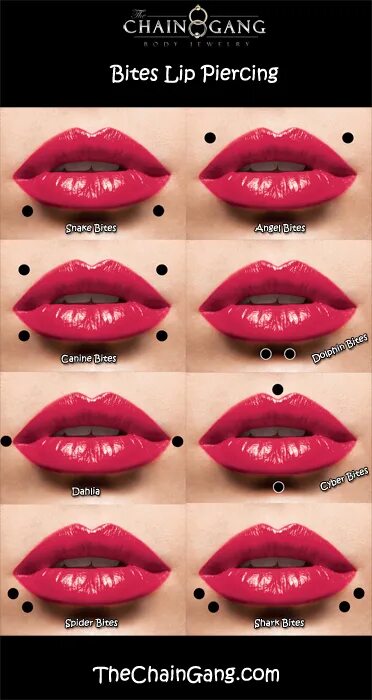 Пирсинг губы названия. Пирсинг губ разновидности. Название всех проколов губы. Проколы на губах и их названия.