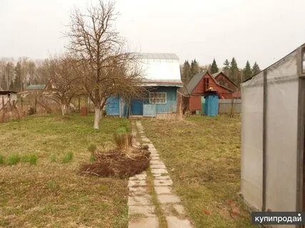 Снт осинки оренбург