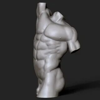 1 2 3 body