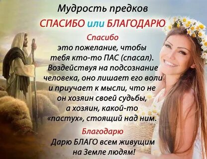 Благодарность роду