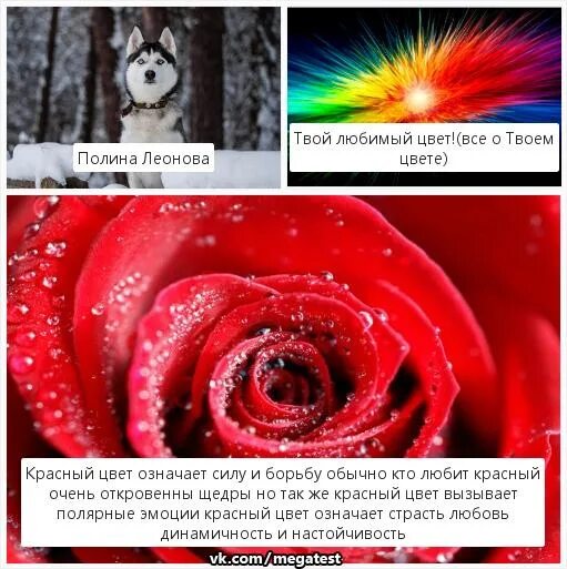 Тест какой твой любимый цвет. Твой цвет. Colors песенка. Твой цвет музыка. Какого цвета твое настроение.
