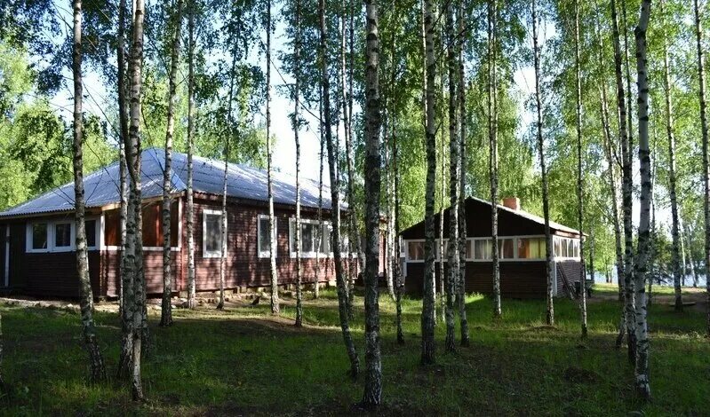 турбаза богданово десногорское водохранилище. десногорского. зеленая роща десногорск база отдыха. база богданово десногорское водохранилище. богданово десногорск.