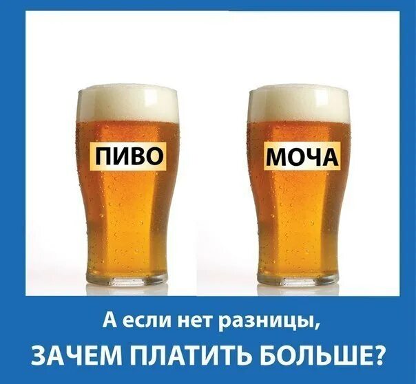 Разницы пить будет. Пиво моча.