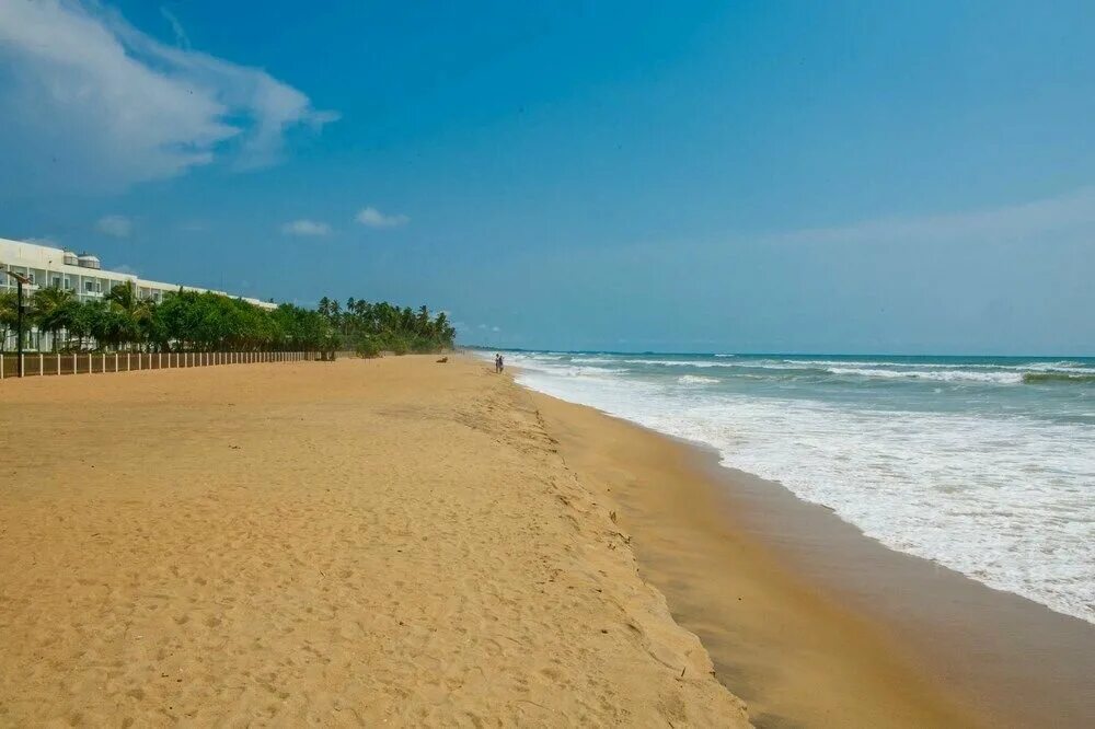 Шри ланка отель beach resort. Отель citrus waskaduwa 5 шри ланка. Васкадува шри ланка отзывы. Васкадува шри ланка отзывы. Отель citrus waskaduwa 5 шри ланка.