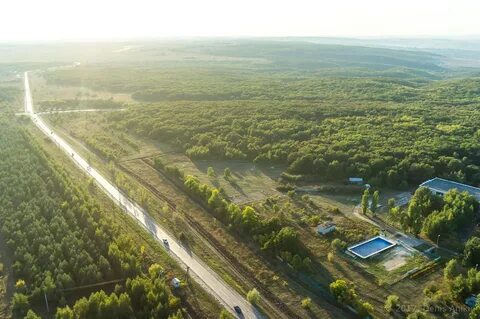 Лесная поляна новосибирская область