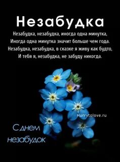 Незабудка незабудка иногда одна минутка