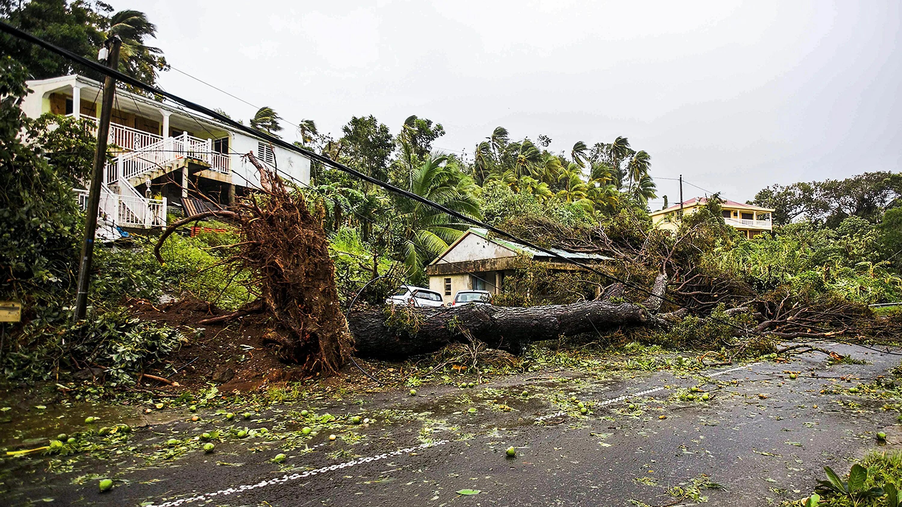 Hurricane maria. Ураган Пуэрто Рико 2017. Ураган в джунглях.