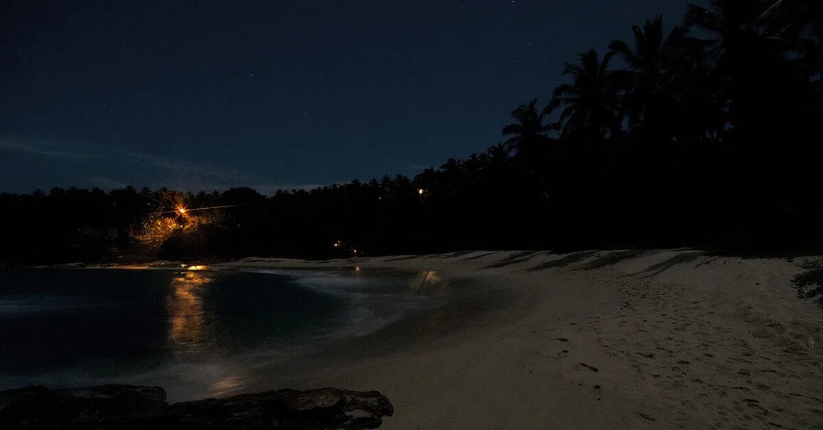 Ночной пляж. Пляж ночью. Необитаемый остров ночью. Берег ночью. Читать ночь у берега 77 на русском
