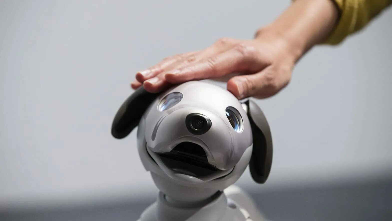 Ai pet. Домашние роботы. Робот-собака. Современные роботы. Робот собака с искусственным интеллектом.